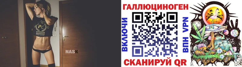 Псилоцибиновые грибы Psilocybe  Купить  Шумиха 